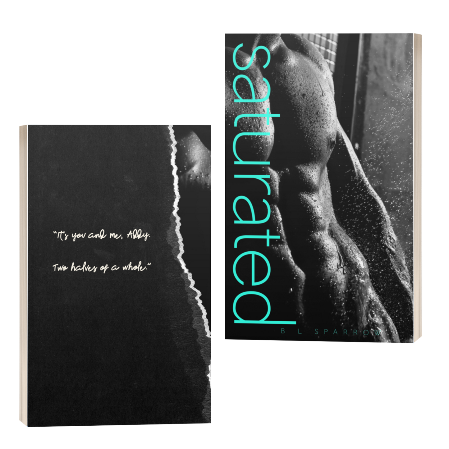 Taboo: 'Saturated' by BL Sparrow Signed Paperback SCRATCH & DENT